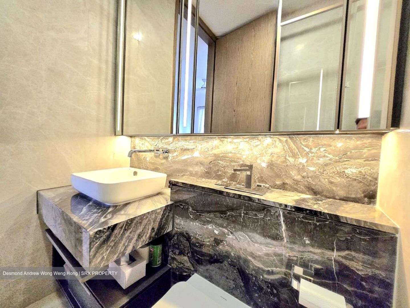 The Avenir (D9), Condominium #535991111